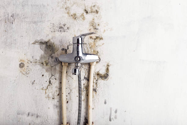 Best Mold Removal Process  in Highland Village, TX