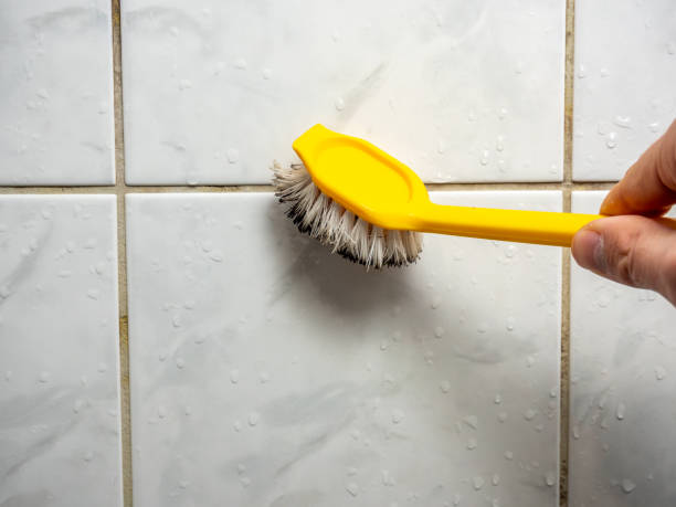 Best Commercial Mold Removal  in Highland Village, TX