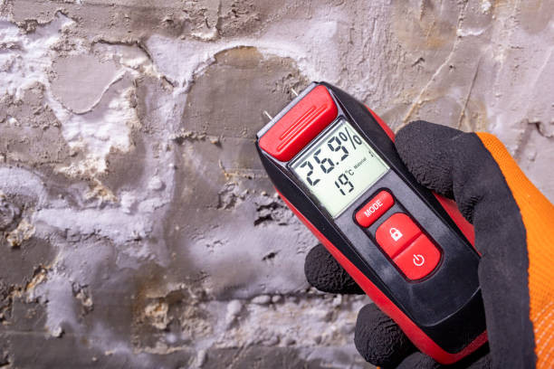 Best Mold Remediation  in Highland Village, TX
