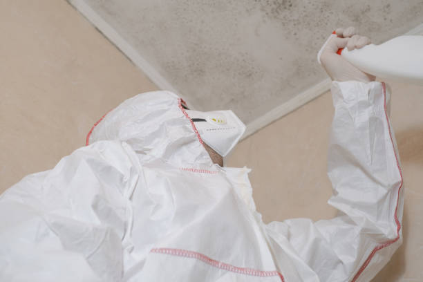Best Mold Testing  in Highland Village, TX