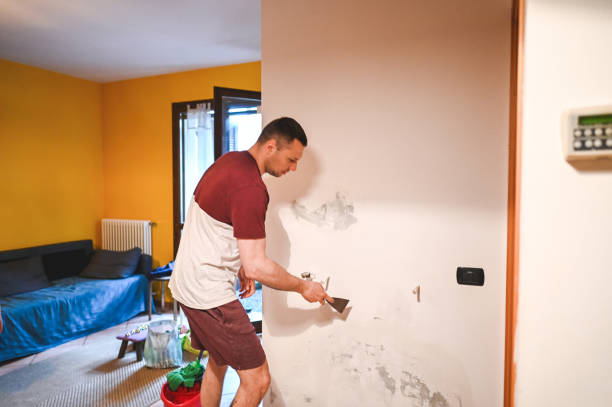 Mold Testing and Removal in Highland Village, TX